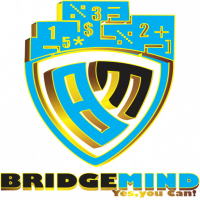 Bridgemind Private limited 