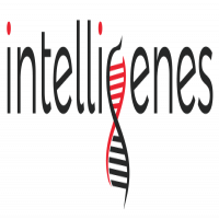 Intelligenes