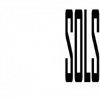 Dynamic Sols